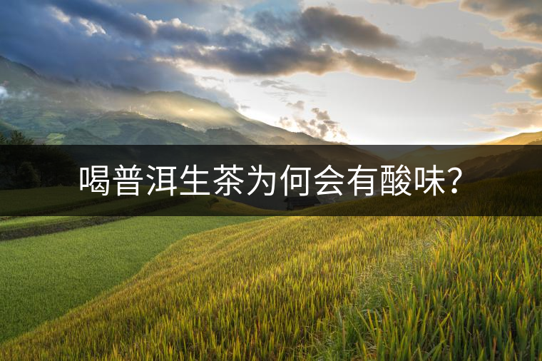喝普洱生茶為何會(huì)有酸味？