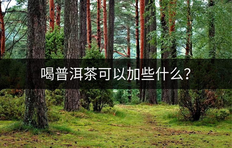 喝普洱茶可以加些什么？