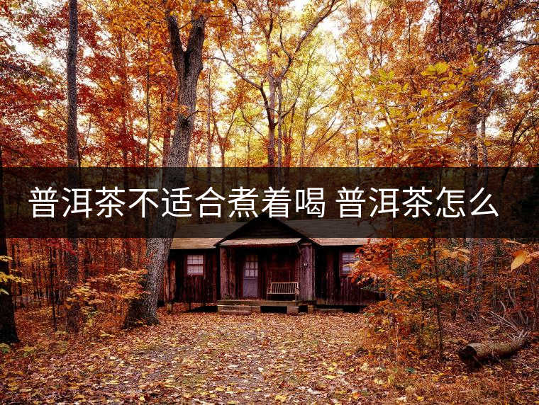 普洱茶不適合煮著喝 普洱茶怎么喝？