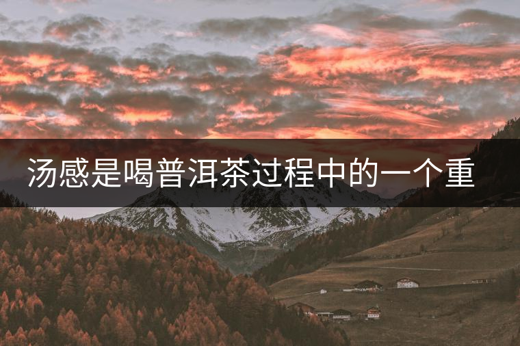 湯感是喝普洱茶過程中的一個(gè)重要感覺