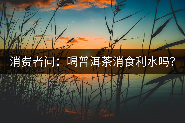 消費(fèi)者問(wèn)：喝普洱茶消食利水嗎？