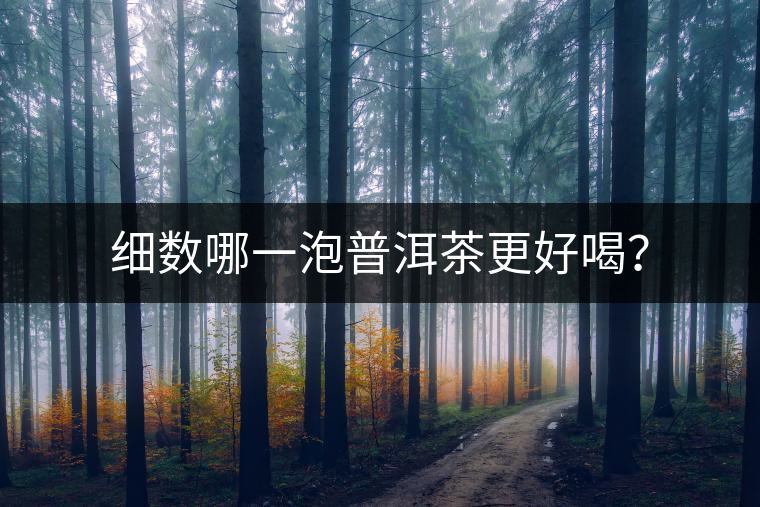 細數(shù)哪一泡普洱茶更好喝？