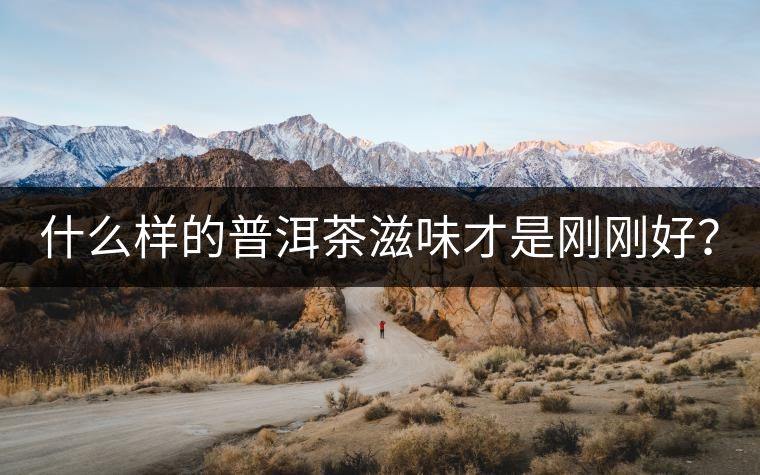 什么樣的普洱茶滋味才是剛剛好？