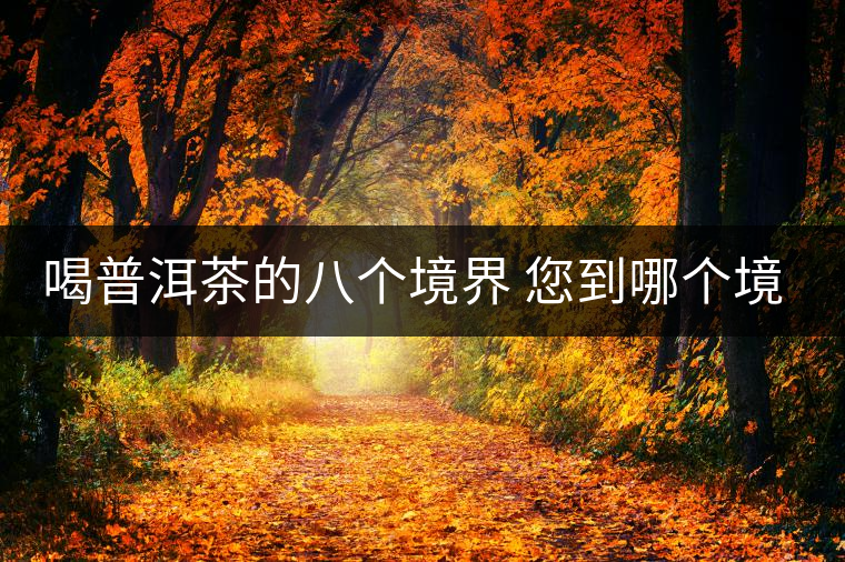 喝普洱茶的八個(gè)境界 您到哪個(gè)境界了？