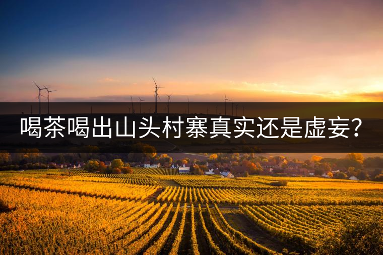 喝茶喝出山頭村寨真實(shí)還是虛妄？