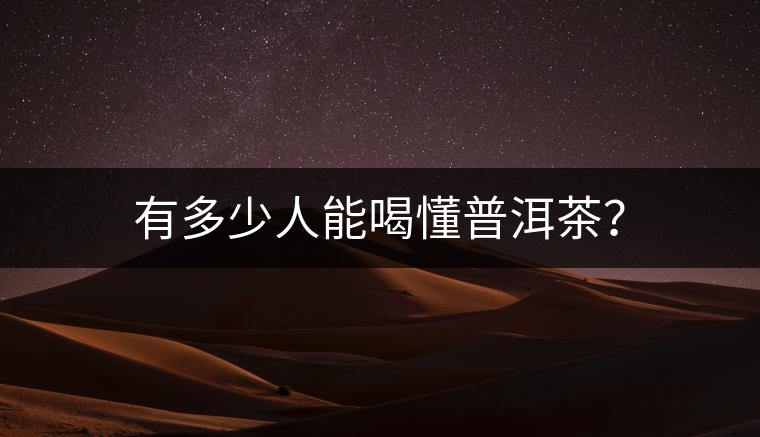 有多少人能喝懂普洱茶？