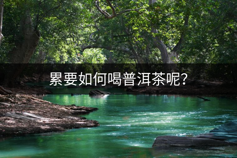 累要如何喝普洱茶呢？