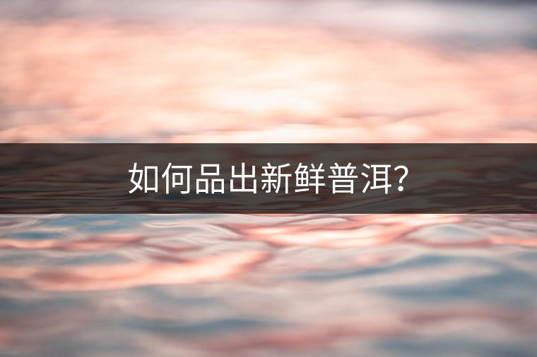 如何品出新鮮普洱？