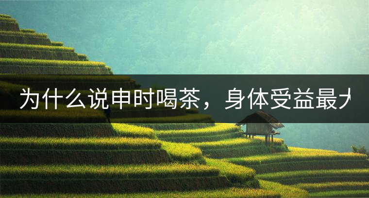 為什么說(shuō)申時(shí)喝茶，身體受益最大？