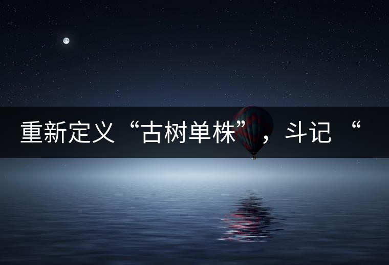 重新定義“古樹單株”，斗記 “超級審評”有償招募告罄在即！