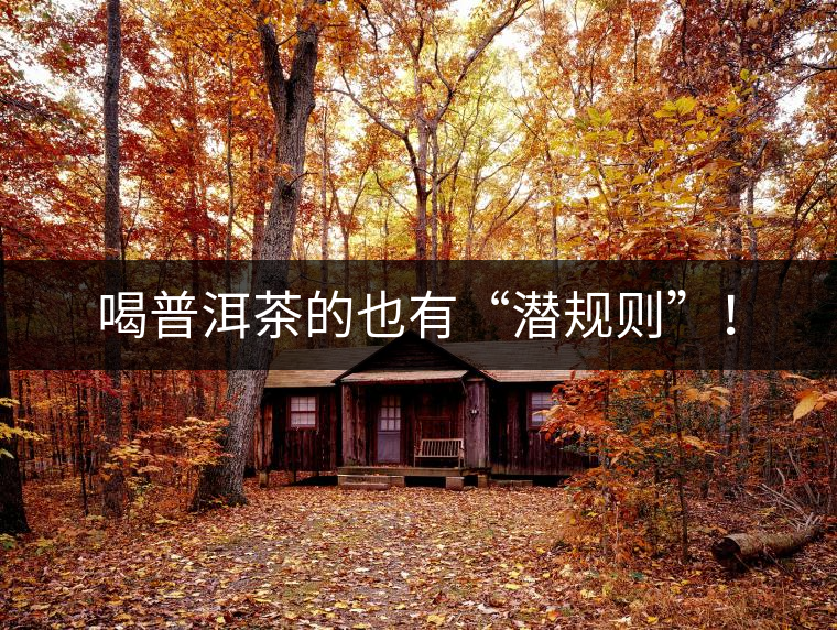喝普洱茶的也有“潛規(guī)則”！