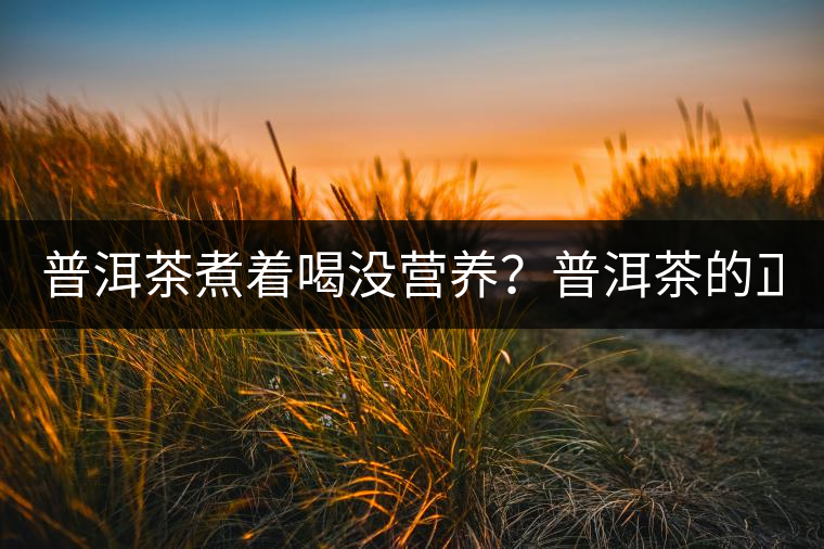 普洱茶煮著喝沒營養(yǎng)？普洱茶的正確煮法！