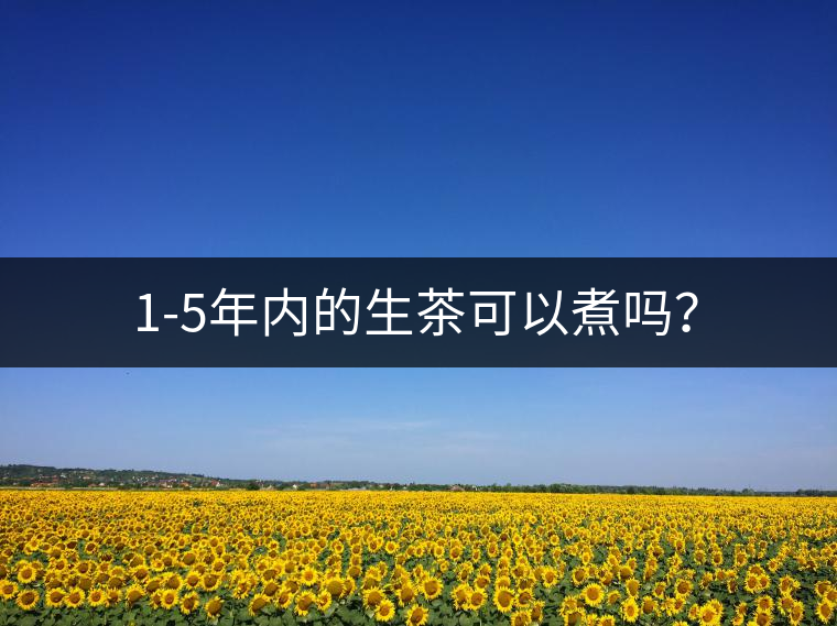 1-5年內(nèi)的生茶可以煮嗎？