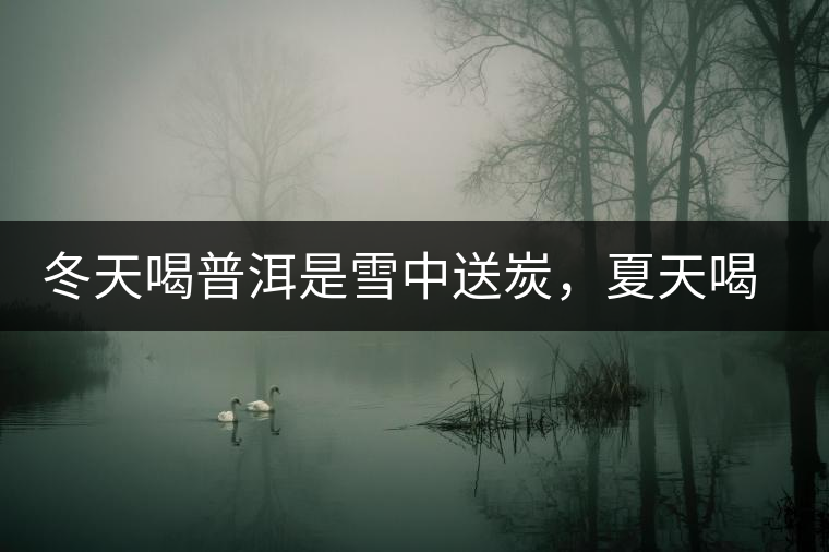 冬天喝普洱是雪中送炭，夏天喝就是火上澆油了？