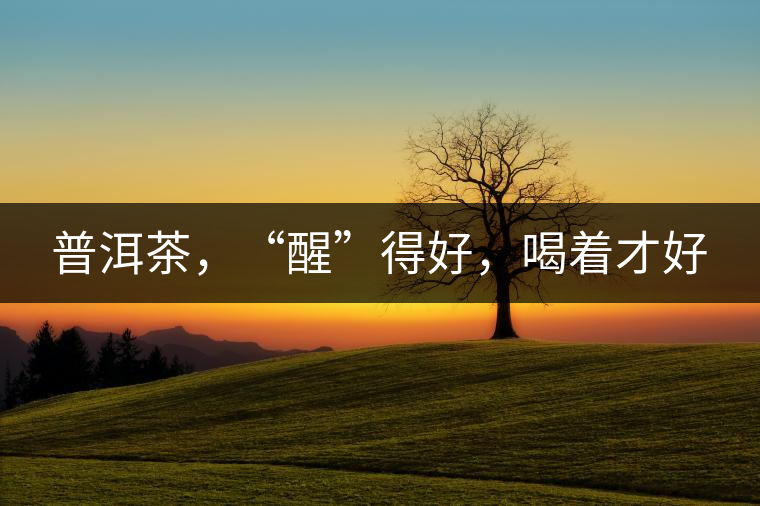 普洱茶，“醒”得好，喝著才好