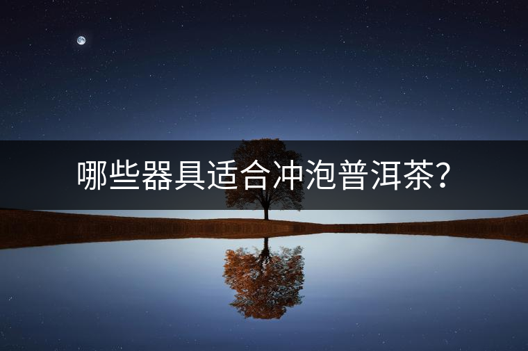 哪些器具適合沖泡普洱茶？