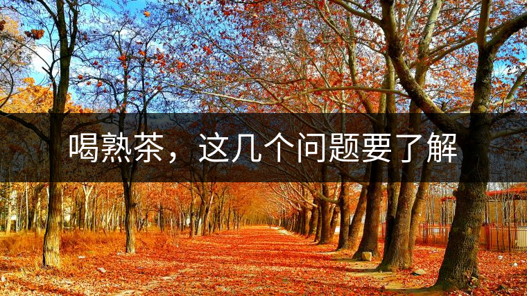 喝熟茶，這幾個問題要了解