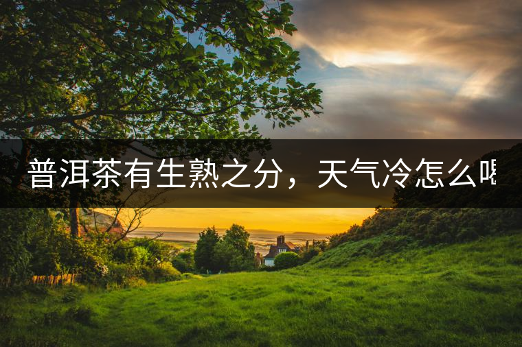普洱茶有生熟之分，天氣冷怎么喝？