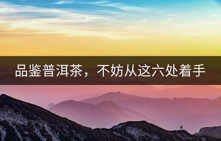 品鑒普洱茶，不妨從這六處著手