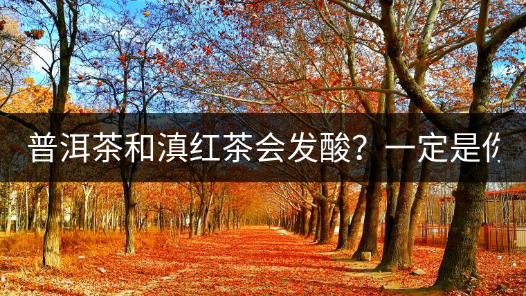 普洱茶和滇紅茶會(huì)發(fā)酸？一定是你這么做了！