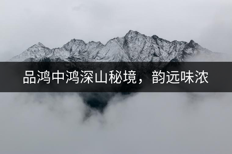 品鴻中鴻深山秘境，韻遠(yuǎn)味濃