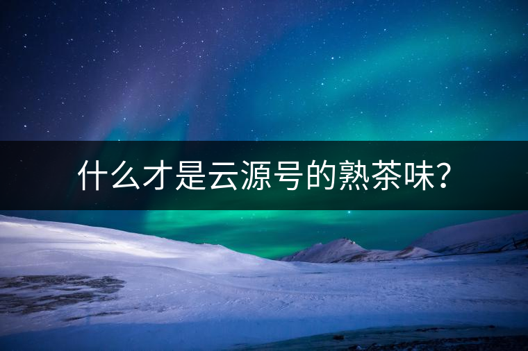 什么才是云源號的熟茶味？