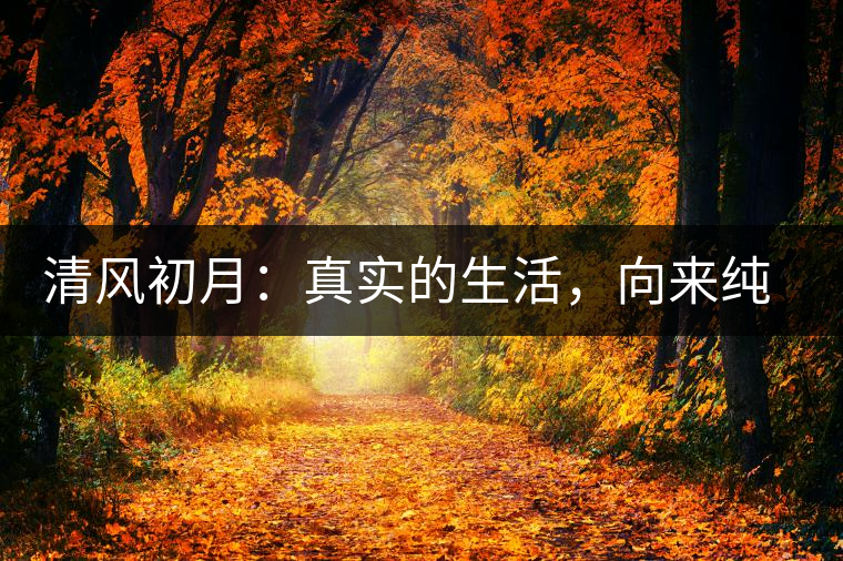 清風(fēng)初月：真實(shí)的生活，向來(lái)純簡(jiǎn)