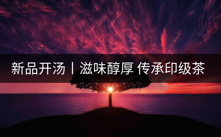 新品開湯丨滋味醇厚 傳承印級(jí)茶風(fēng)韻 新品開湯丨滋味醇厚 傳承印級(jí)茶風(fēng)韻
