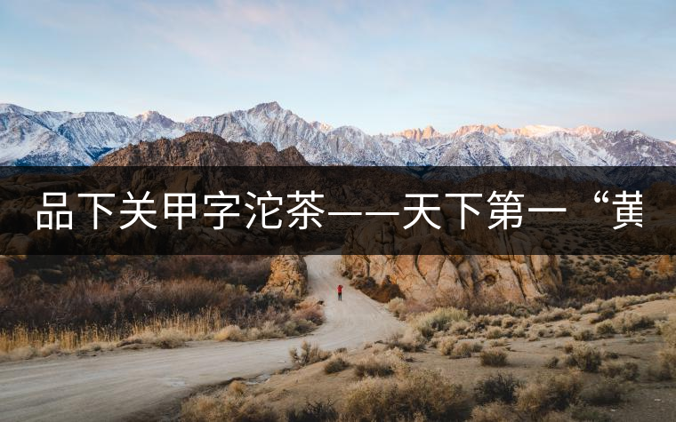 品下關(guān)甲字沱茶——天下第一“黃金甲”