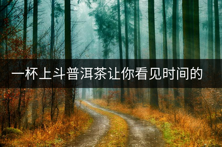 一杯上斗普洱茶讓你看見(jiàn)時(shí)間的味道 一杯上斗普洱茶讓你看見(jiàn)時(shí)間的味道