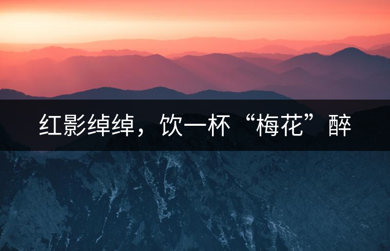紅影綽綽，飲一杯“梅花”醉