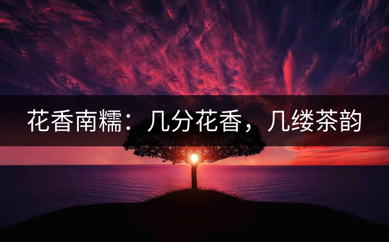 花香南糯：幾分花香，幾縷茶韻