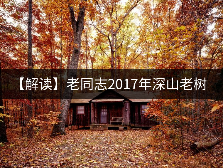 【解讀】老同志2017年深山老樹(熟) 【解讀】老同志2017年深山老樹(熟)