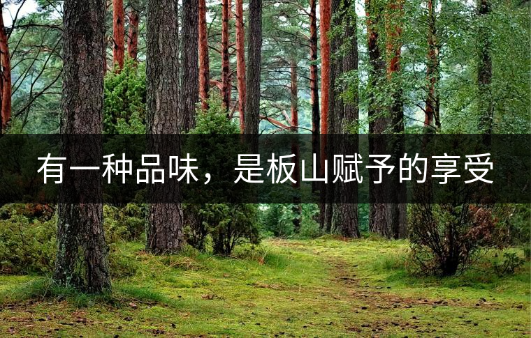 有一種品味，是板山賦予的享受