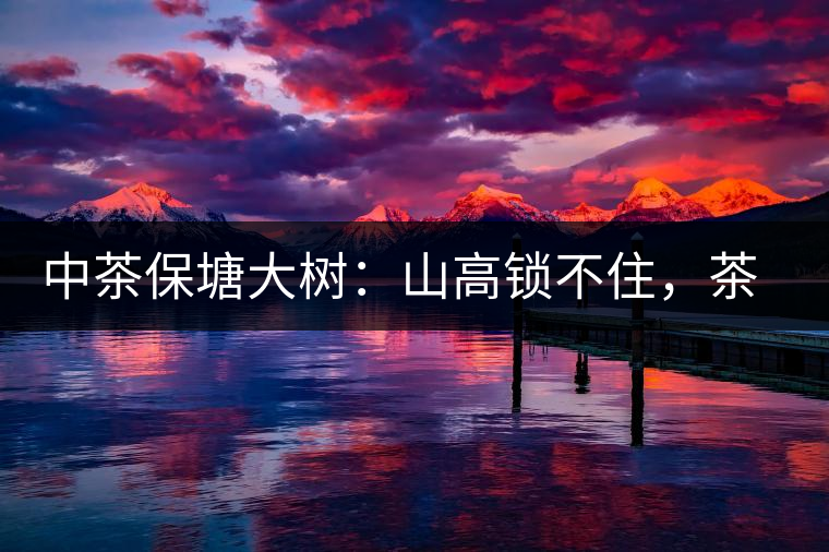 中茶保塘大樹：山高鎖不住，茶好名自傳