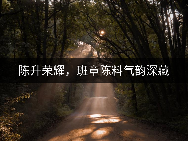 陳升榮耀，班章陳料氣韻深藏