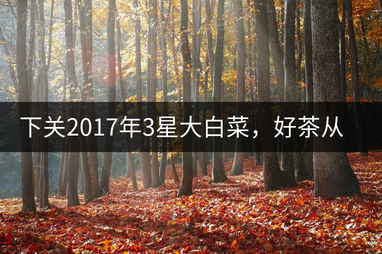 下關(guān)2017年3星大白菜,好茶從未中斷 下關(guān)2017年3星大白菜,好茶從未中斷