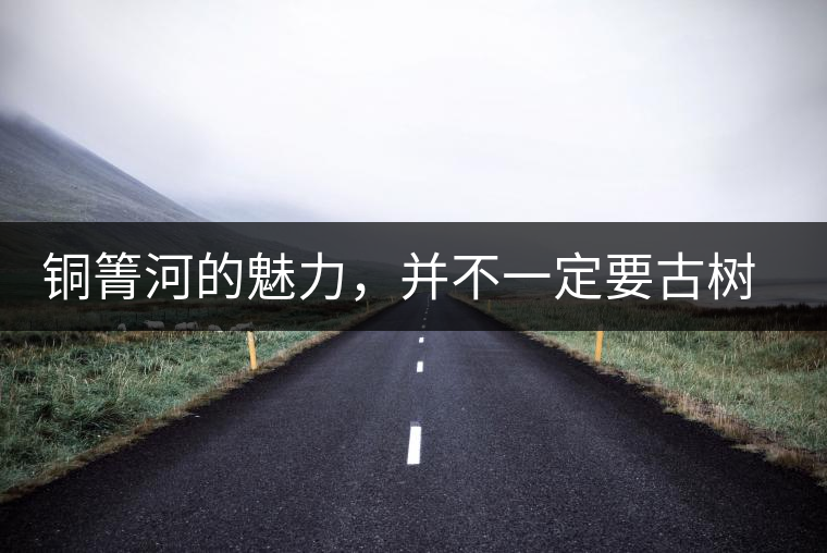 銅箐河的魅力，并不一定要古樹來體現(xiàn)