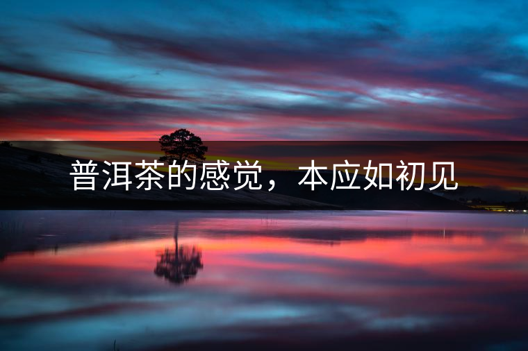 普洱茶的感覺，本應(yīng)如初見