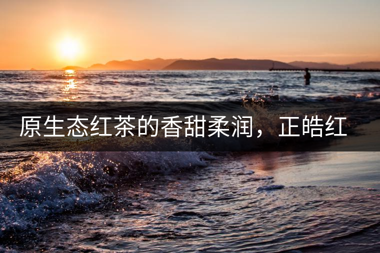 原生態(tài)紅茶的香甜柔潤(rùn)，正皓紅的魅力無(wú)可抵擋！