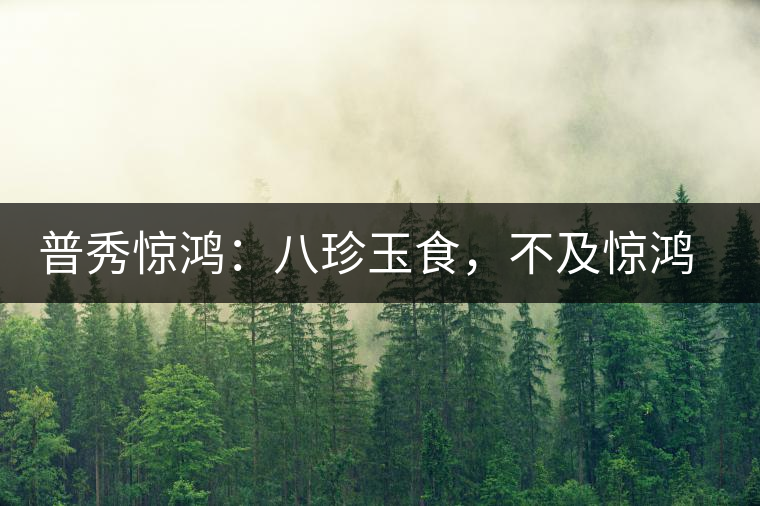 普秀驚鴻：八珍玉食，不及驚鴻一湯