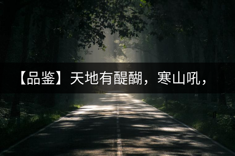 【品鑒】天地有醍醐，寒山吼，苦樂皆隨風(fēng)