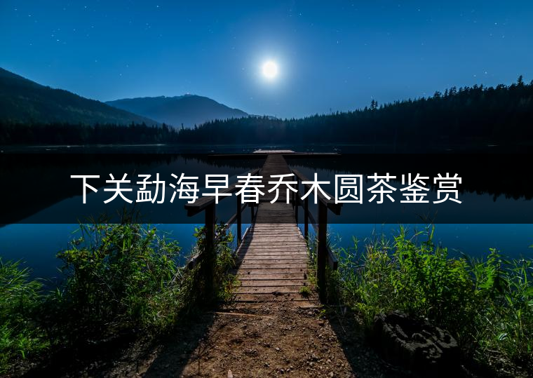下關(guān)勐海早春?jiǎn)棠緢A茶鑒賞