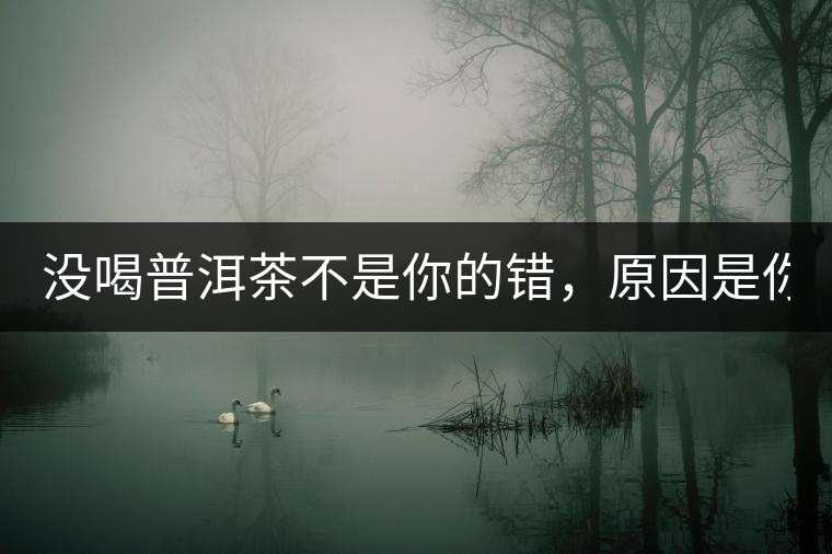 沒喝普洱茶不是你的錯，原因是你還沒遇到Y(jié)671與Y562