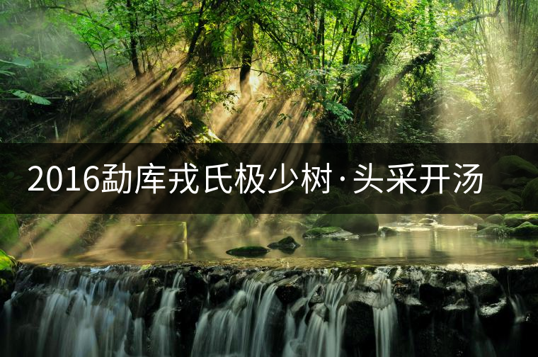 2016勐庫戎氏極少樹·頭采開湯品鑒 2016勐庫戎氏極少樹·頭采開湯品鑒