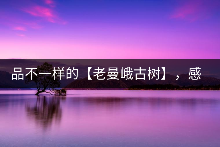 品不一樣的【老曼峨古樹】，感受別樣甘甜與溫婉