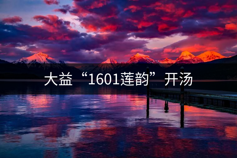 大益“1601蓮韻”開(kāi)湯 大益“1601蓮韻”開(kāi)湯