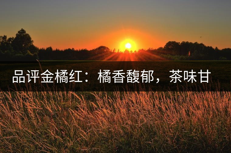 品評金橘紅：橘香馥郁，茶味甘醇，匠心拼配，臻于至善