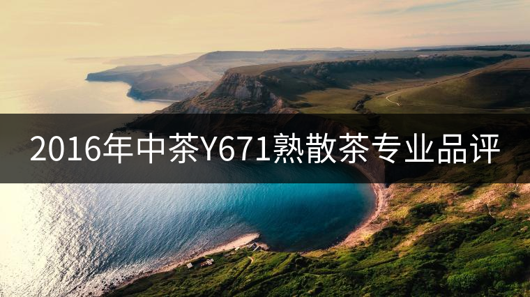 2016年中茶Y671熟散茶專(zhuān)業(yè)品評(píng)