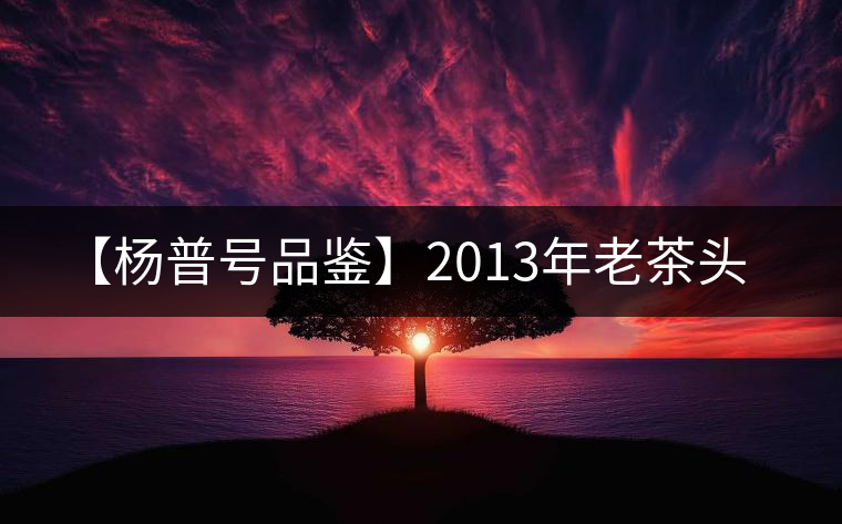 【楊普號(hào)品鑒】2013年老茶頭 【楊普號(hào)品鑒】2013年老茶頭